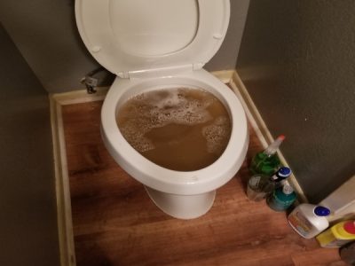 Clogged Toilet Repair Cleaning Solutions